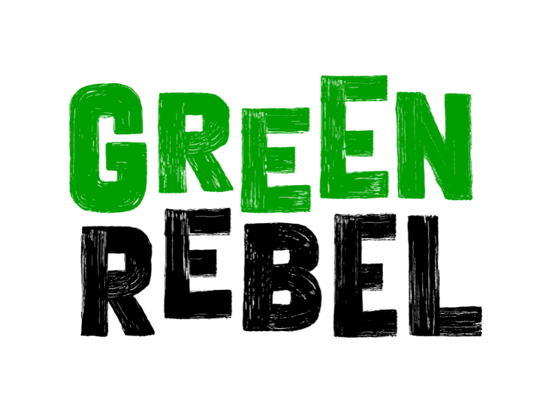 organization-1-image-14